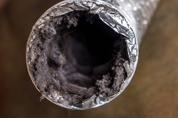 Best Affordable Duct Cleaning Services  in Honeygo, MD